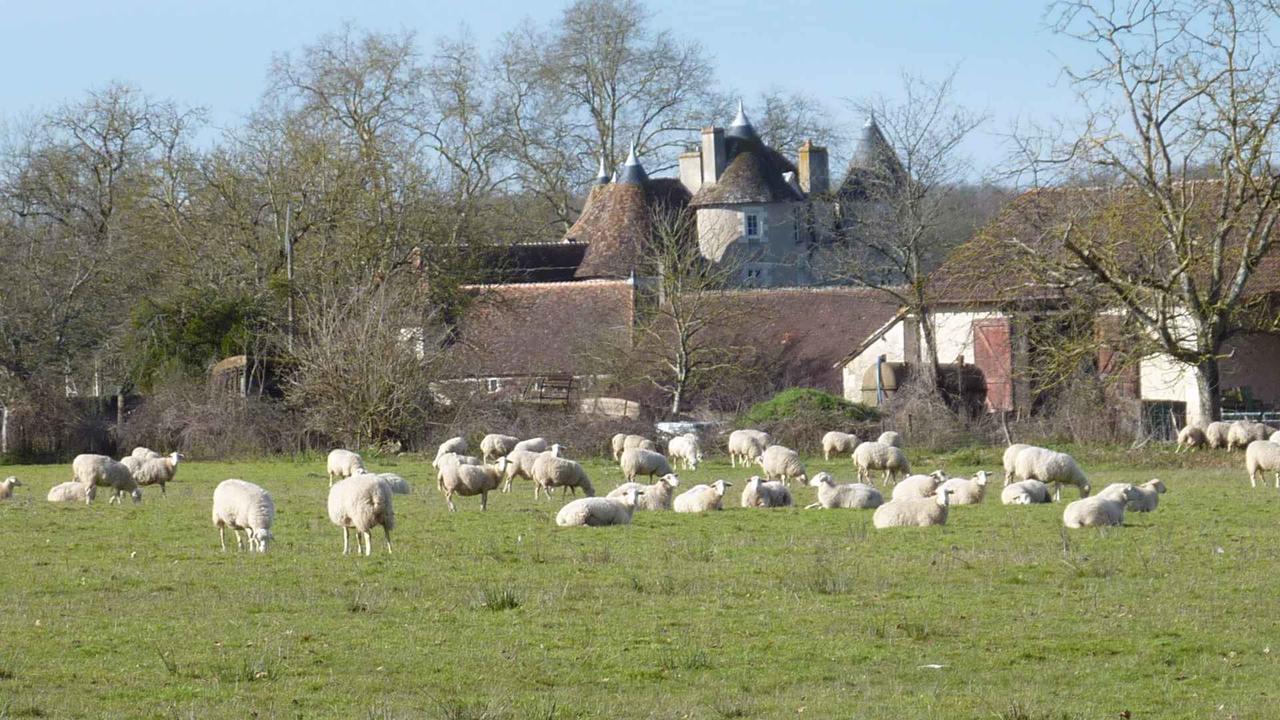 Le Logis B&B  La Trimouille Extérieur photo